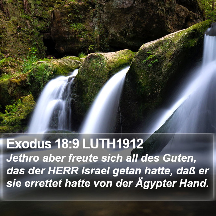 Exodus 18:9 LUTH1912 Bible Study