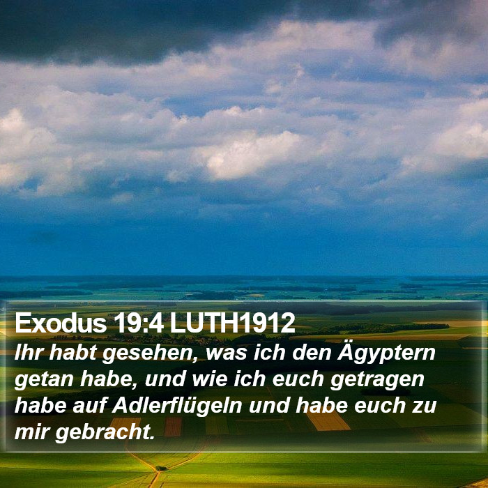 Exodus 19:4 LUTH1912 Bible Study