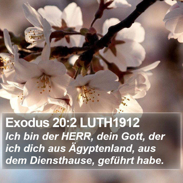 Exodus 20:2 LUTH1912 Bible Study