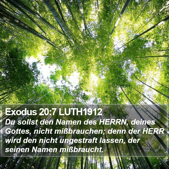 Exodus 20:7 LUTH1912 Bible Study