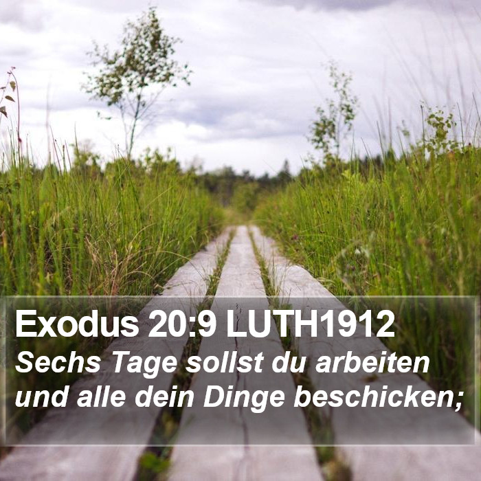 Exodus 20:9 LUTH1912 Bible Study