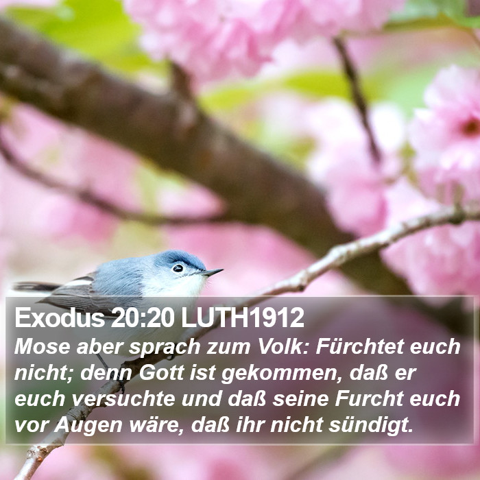 Exodus 20:20 LUTH1912 Bible Study