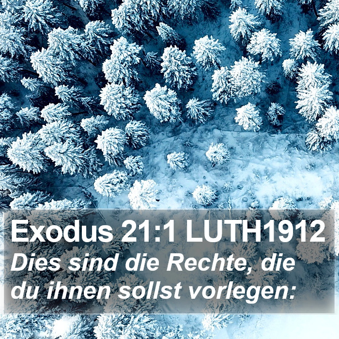 Exodus 21:1 LUTH1912 Bible Study