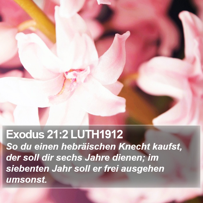 Exodus 21:2 LUTH1912 Bible Study