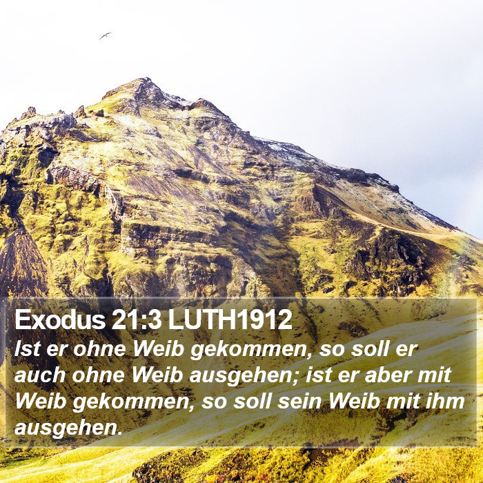 Exodus 21:3 LUTH1912 Bible Study