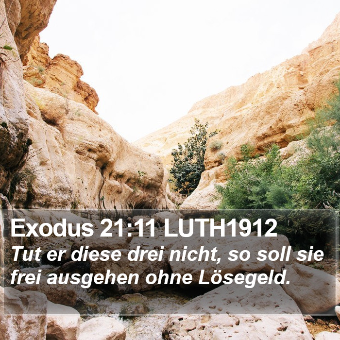 Exodus 21:11 LUTH1912 Bible Study