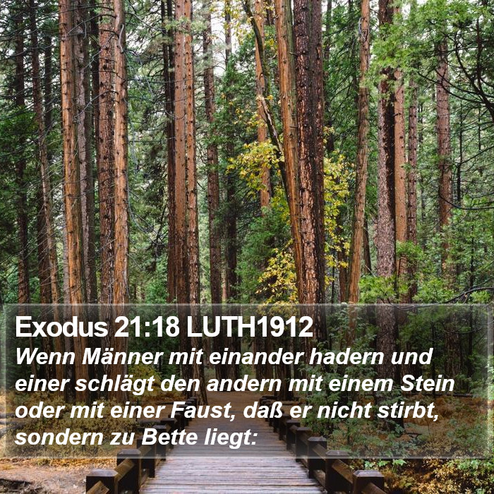 Exodus 21:18 LUTH1912 Bible Study