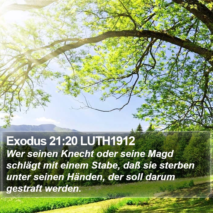 Exodus 21:20 LUTH1912 Bible Study