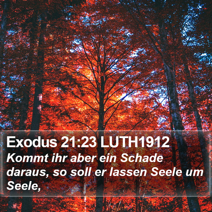 Exodus 21:23 LUTH1912 Bible Study