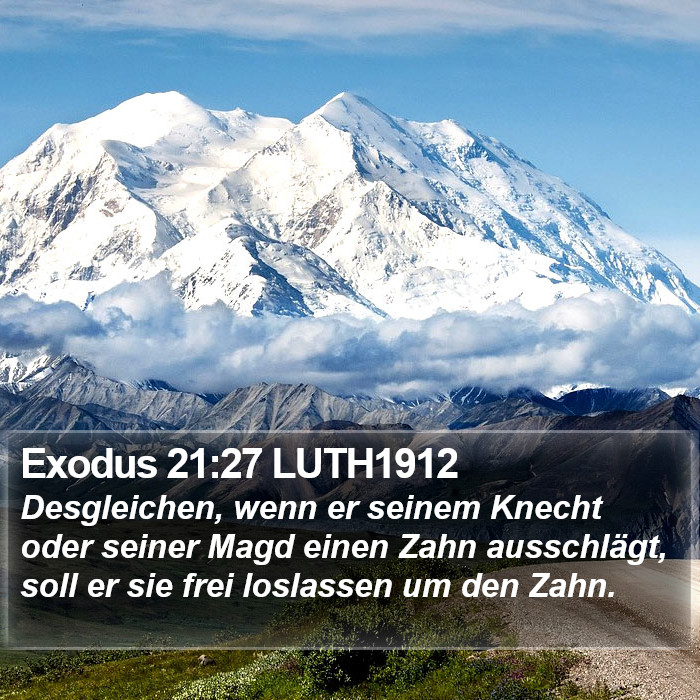 Exodus 21:27 LUTH1912 Bible Study