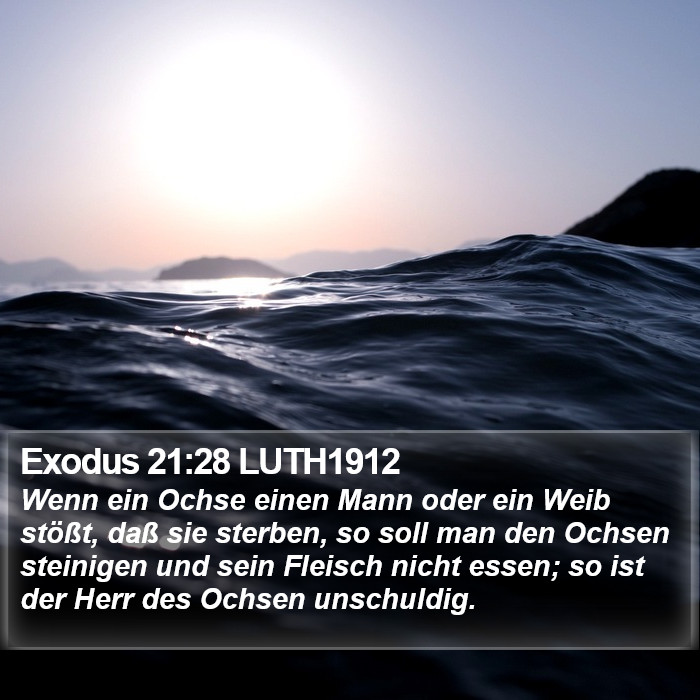 Exodus 21:28 LUTH1912 Bible Study