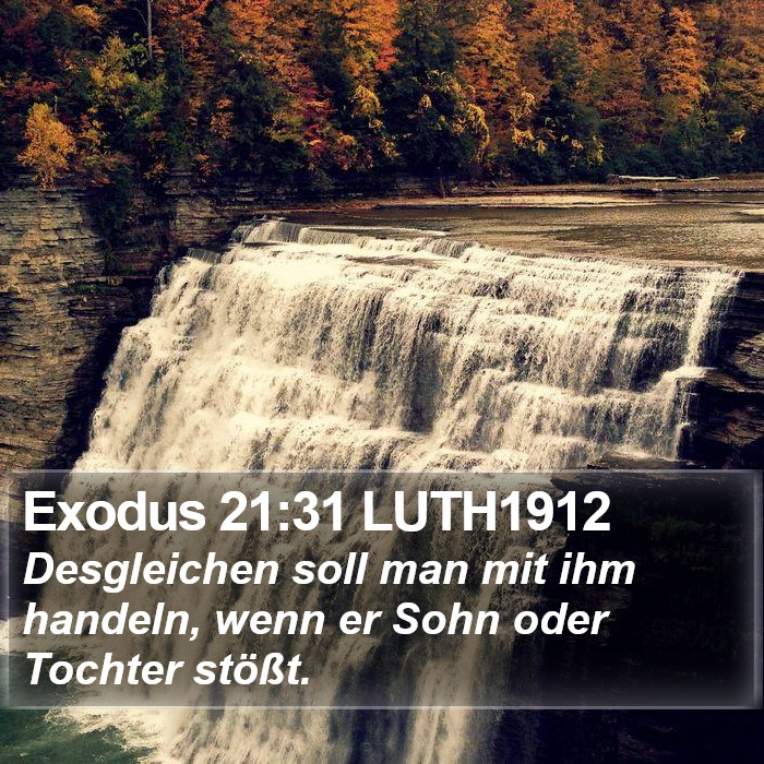 Exodus 21:31 LUTH1912 Bible Study