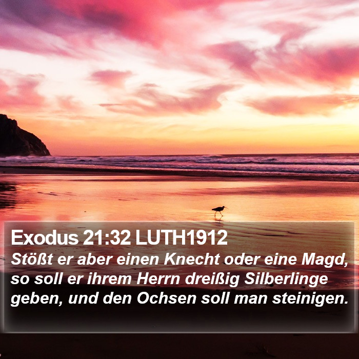 Exodus 21:32 LUTH1912 Bible Study