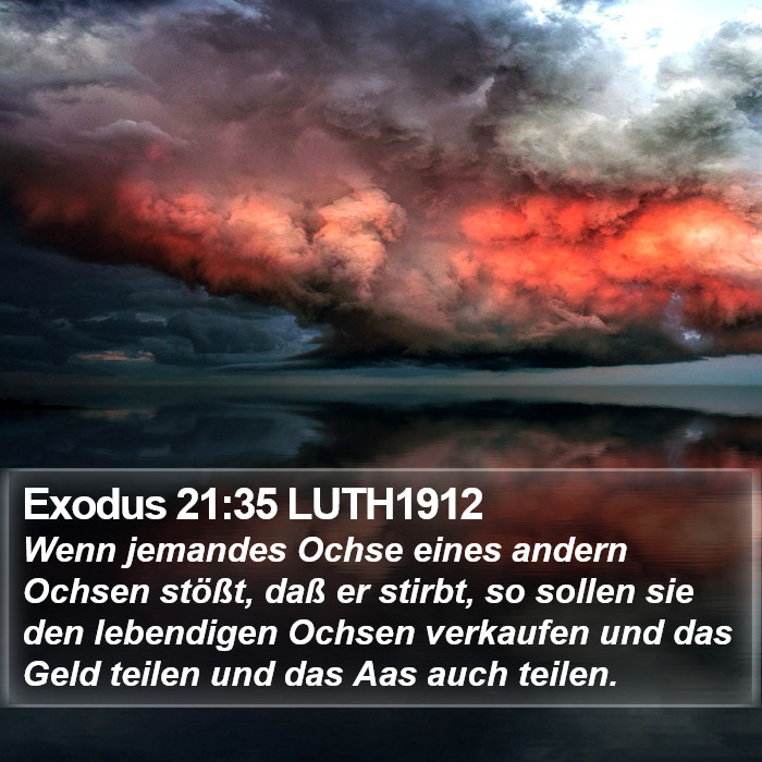 Exodus 21:35 LUTH1912 Bible Study