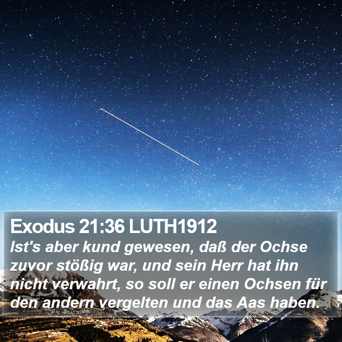 Exodus 21:36 LUTH1912 Bible Study