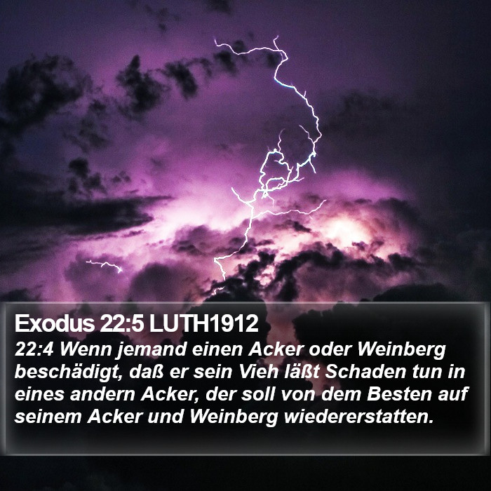 Exodus 22:5 LUTH1912 Bible Study