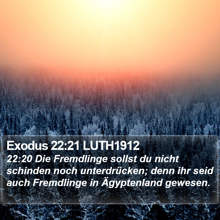 Exodus 22:21 LUTH1912 Bible Study