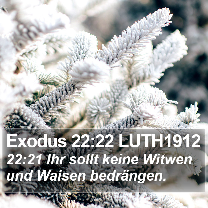 Exodus 22:22 LUTH1912 Bible Study