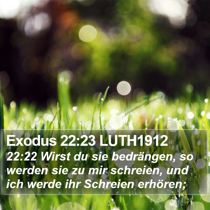 Exodus 22:23 LUTH1912 Bible Study