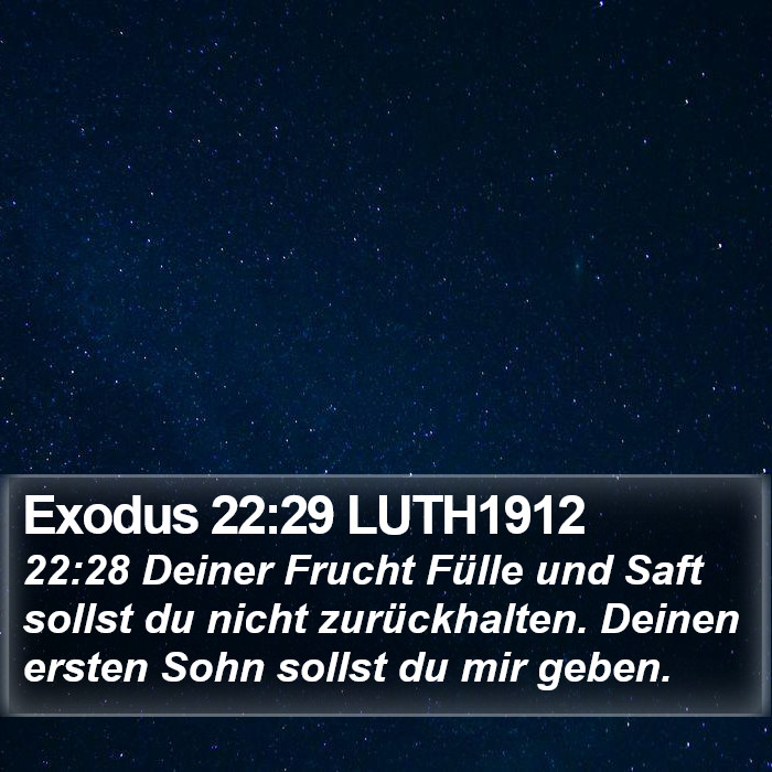 Exodus 22:29 LUTH1912 Bible Study