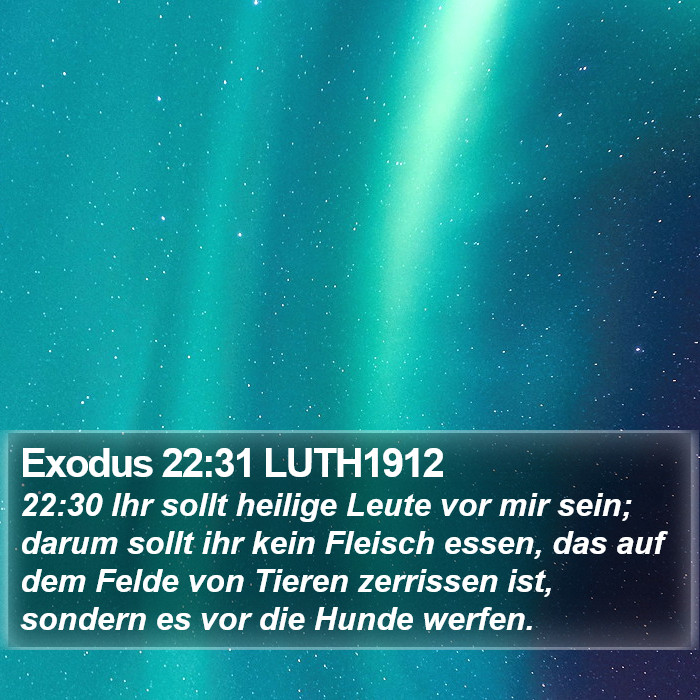 Exodus 22:31 LUTH1912 Bible Study