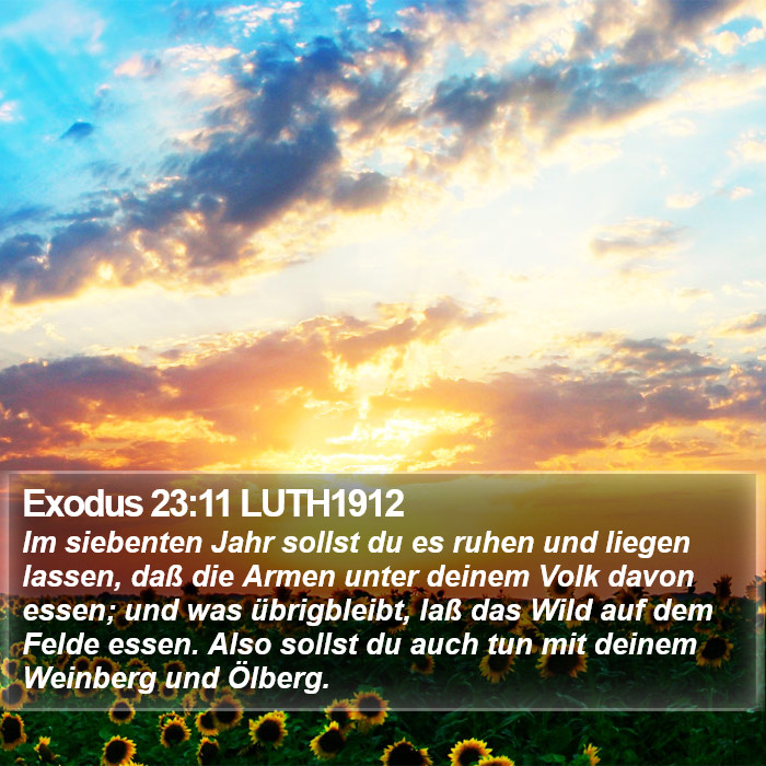 Exodus 23:11 LUTH1912 Bible Study