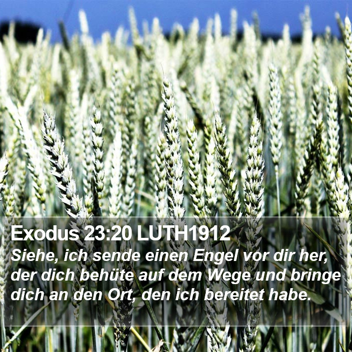 Exodus 23:20 LUTH1912 Bible Study