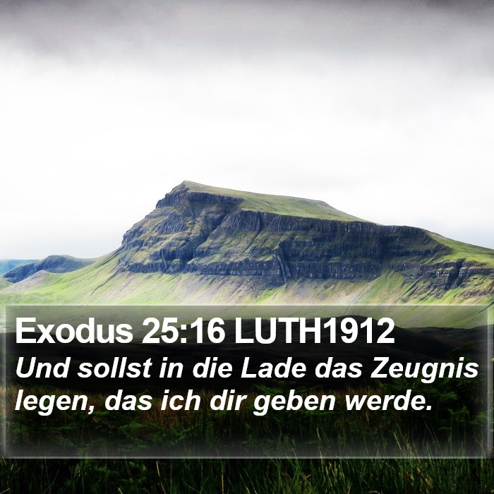 Exodus 25:16 LUTH1912 Bible Study