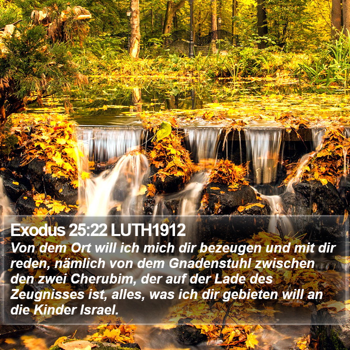Exodus 25:22 LUTH1912 Bible Study