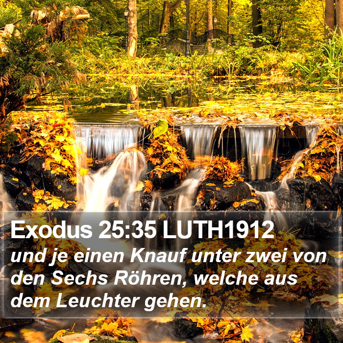Exodus 25:35 LUTH1912 Bible Study