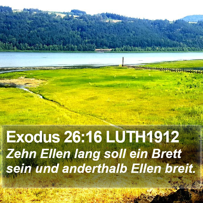 Exodus 26:16 LUTH1912 Bible Study