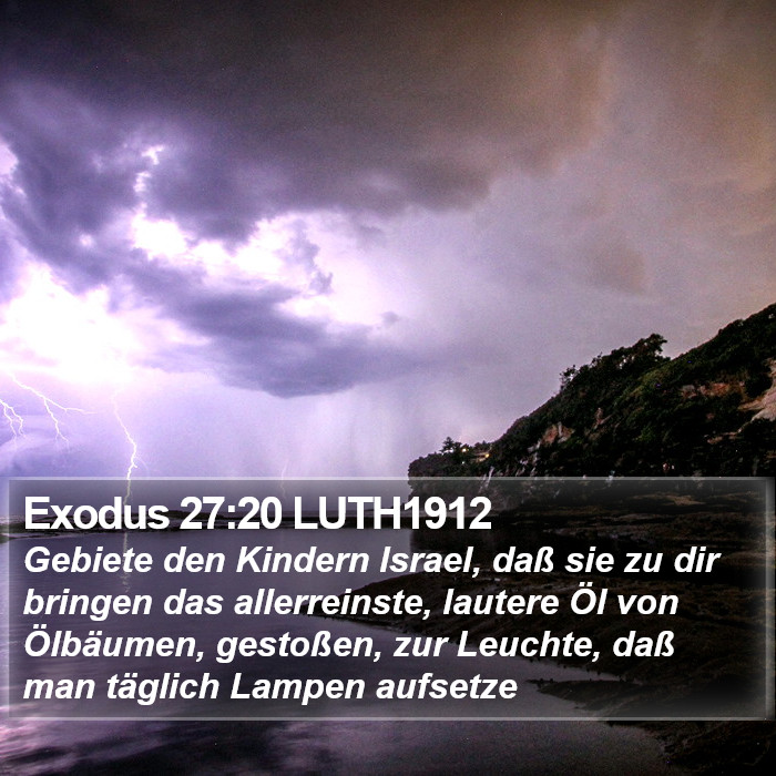 Exodus 27:20 LUTH1912 Bible Study