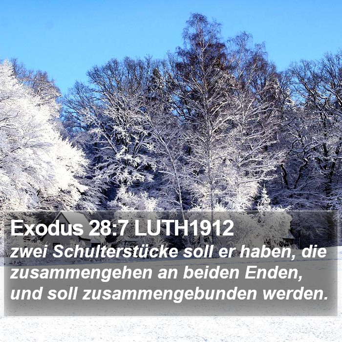 Exodus 28:7 LUTH1912 Bible Study