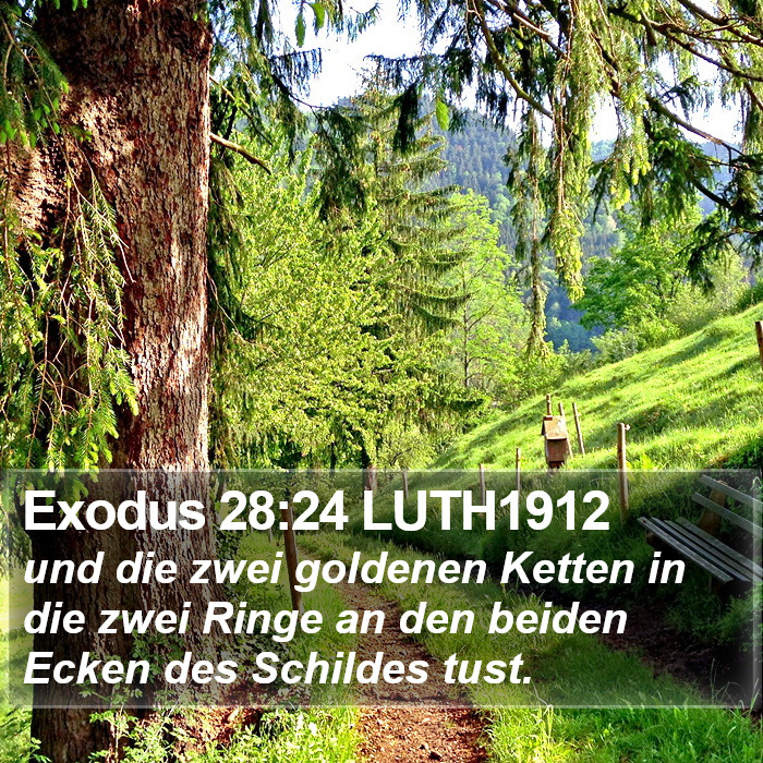 Exodus 28:24 LUTH1912 Bible Study