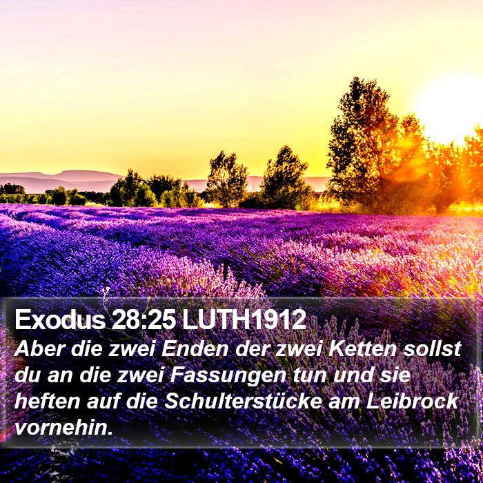 Exodus 28:25 LUTH1912 Bible Study