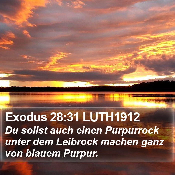 Exodus 28:31 LUTH1912 Bible Study