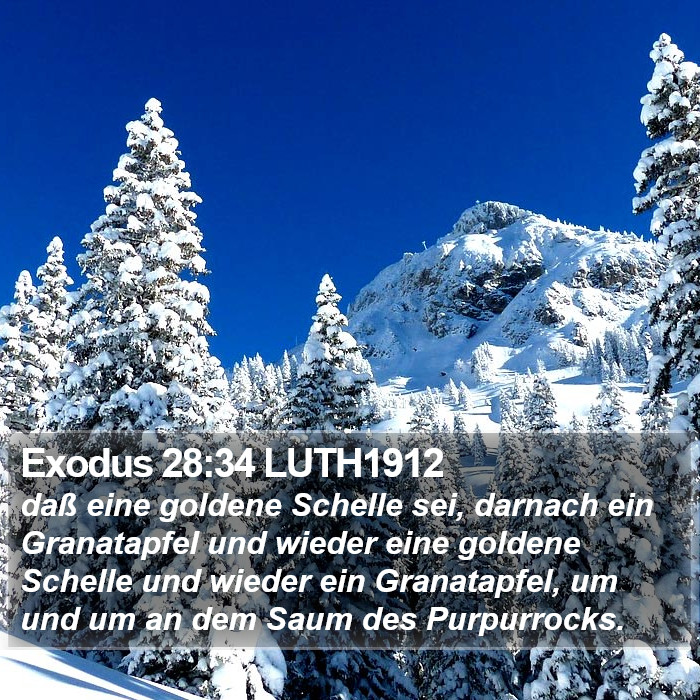 Exodus 28:34 LUTH1912 Bible Study