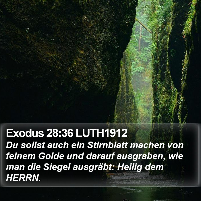 Exodus 28:36 LUTH1912 Bible Study