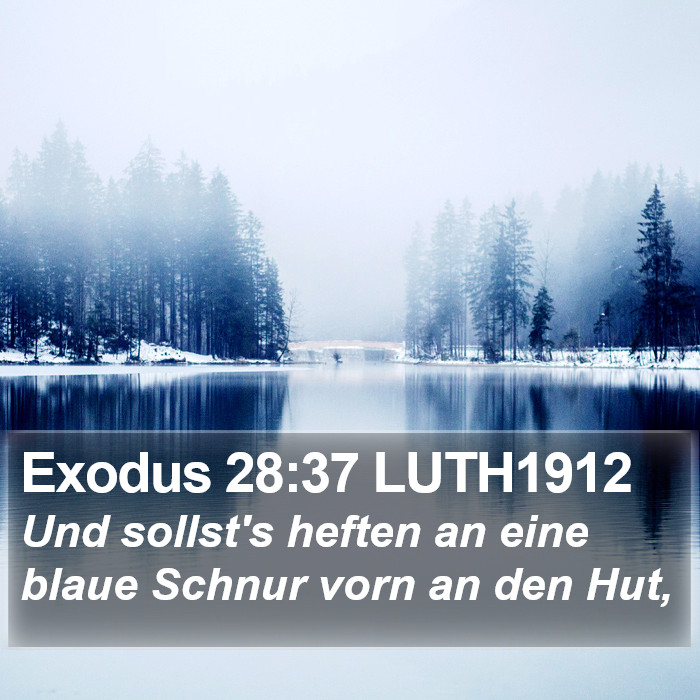 Exodus 28:37 LUTH1912 Bible Study