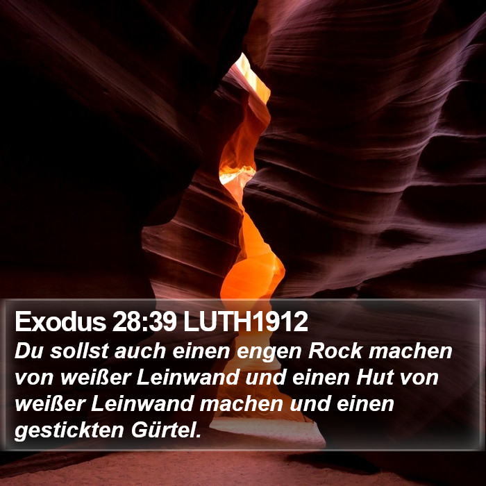 Exodus 28:39 LUTH1912 Bible Study