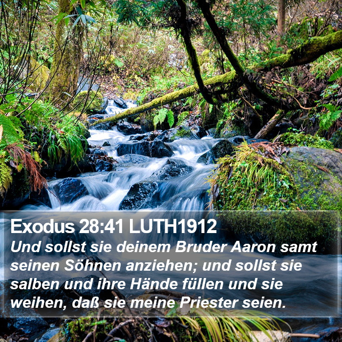 Exodus 28:41 LUTH1912 Bible Study