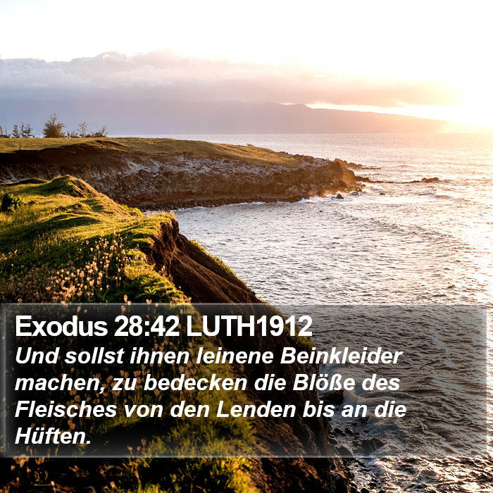 Exodus 28:42 LUTH1912 Bible Study