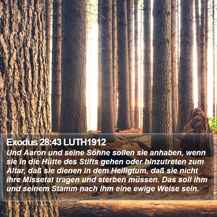 Exodus 28:43 LUTH1912 Bible Study