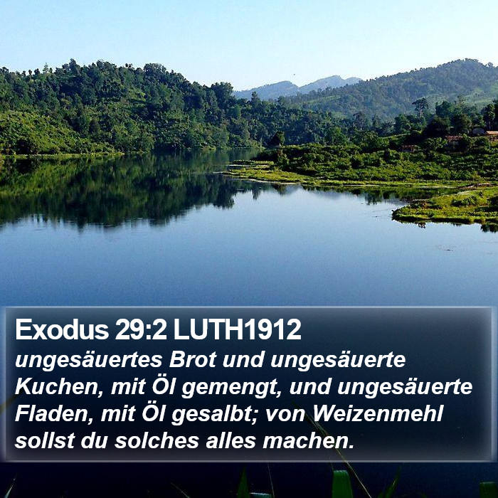 Exodus 29:2 LUTH1912 Bible Study