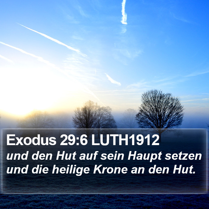 Exodus 29:6 LUTH1912 Bible Study