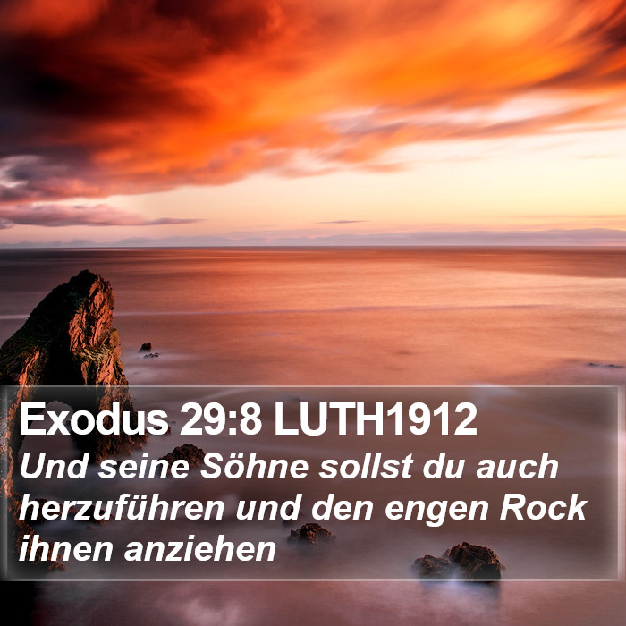 Exodus 29:8 LUTH1912 Bible Study