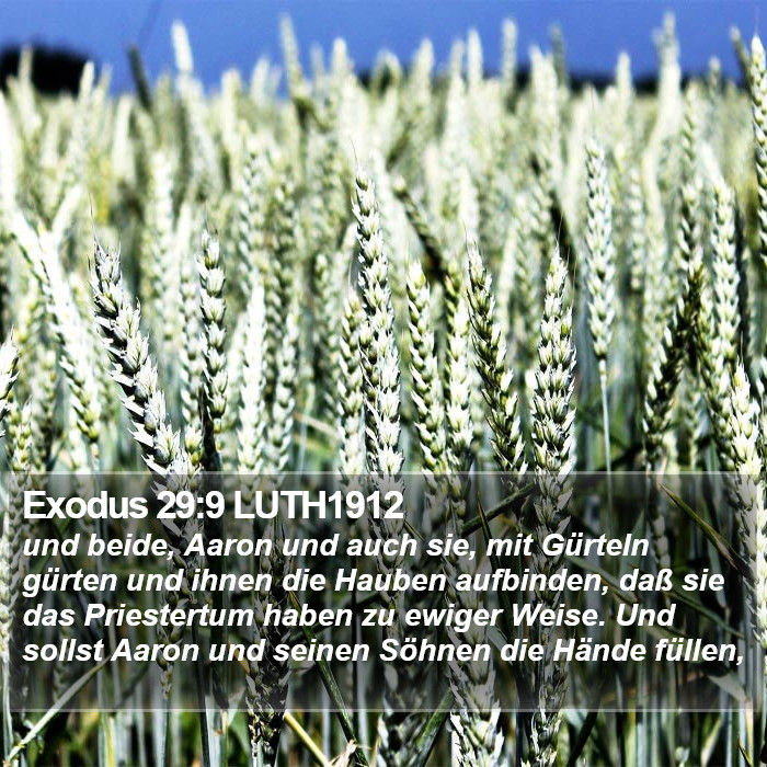 Exodus 29:9 LUTH1912 Bible Study