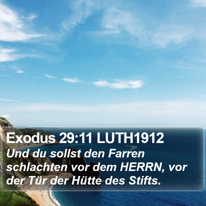 Exodus 29:11 LUTH1912 Bible Study
