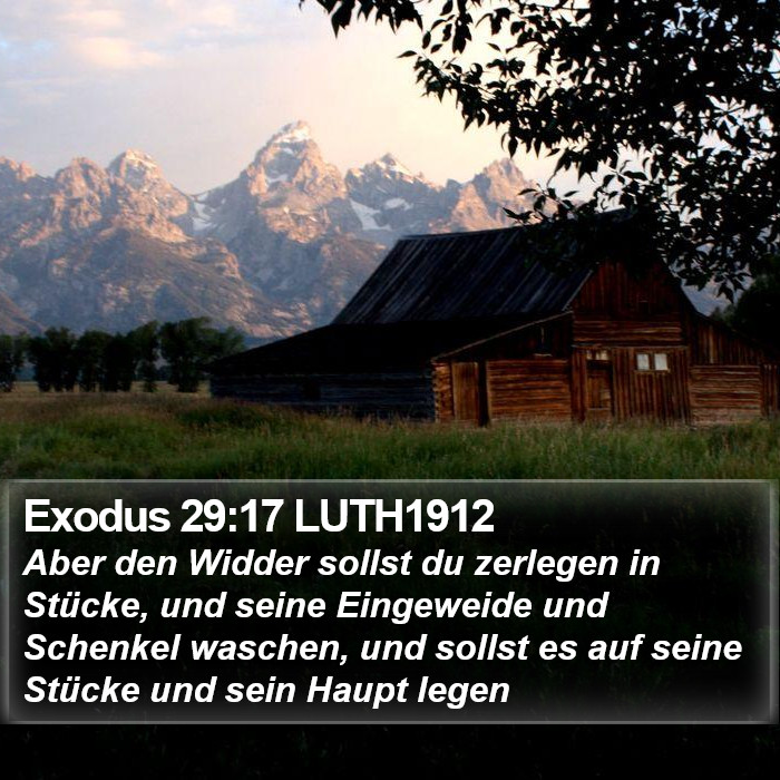 Exodus 29:17 LUTH1912 Bible Study