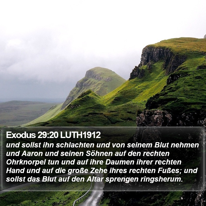 Exodus 29:20 LUTH1912 Bible Study